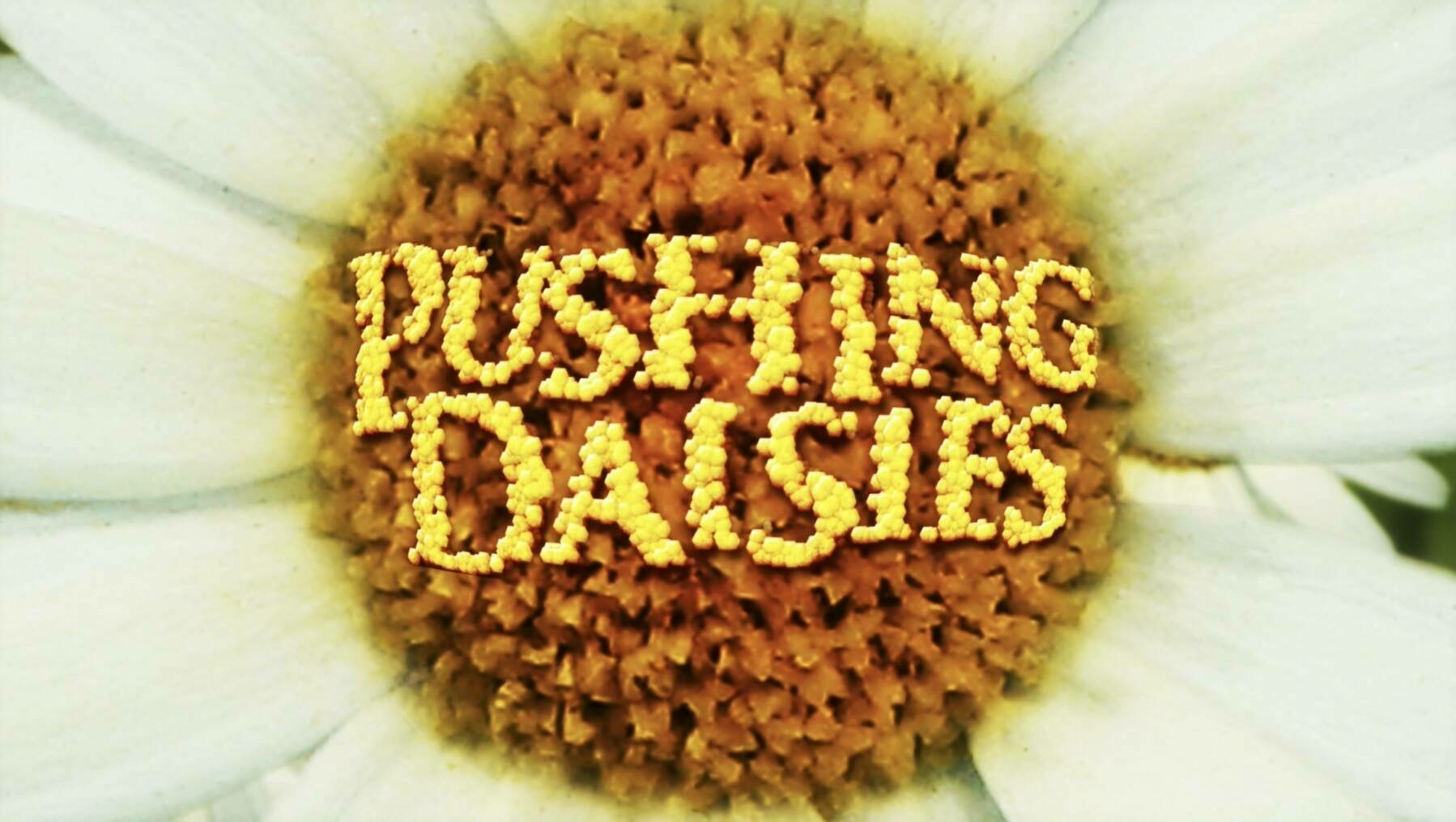 The title card for the tv show, Pushing Daisies.